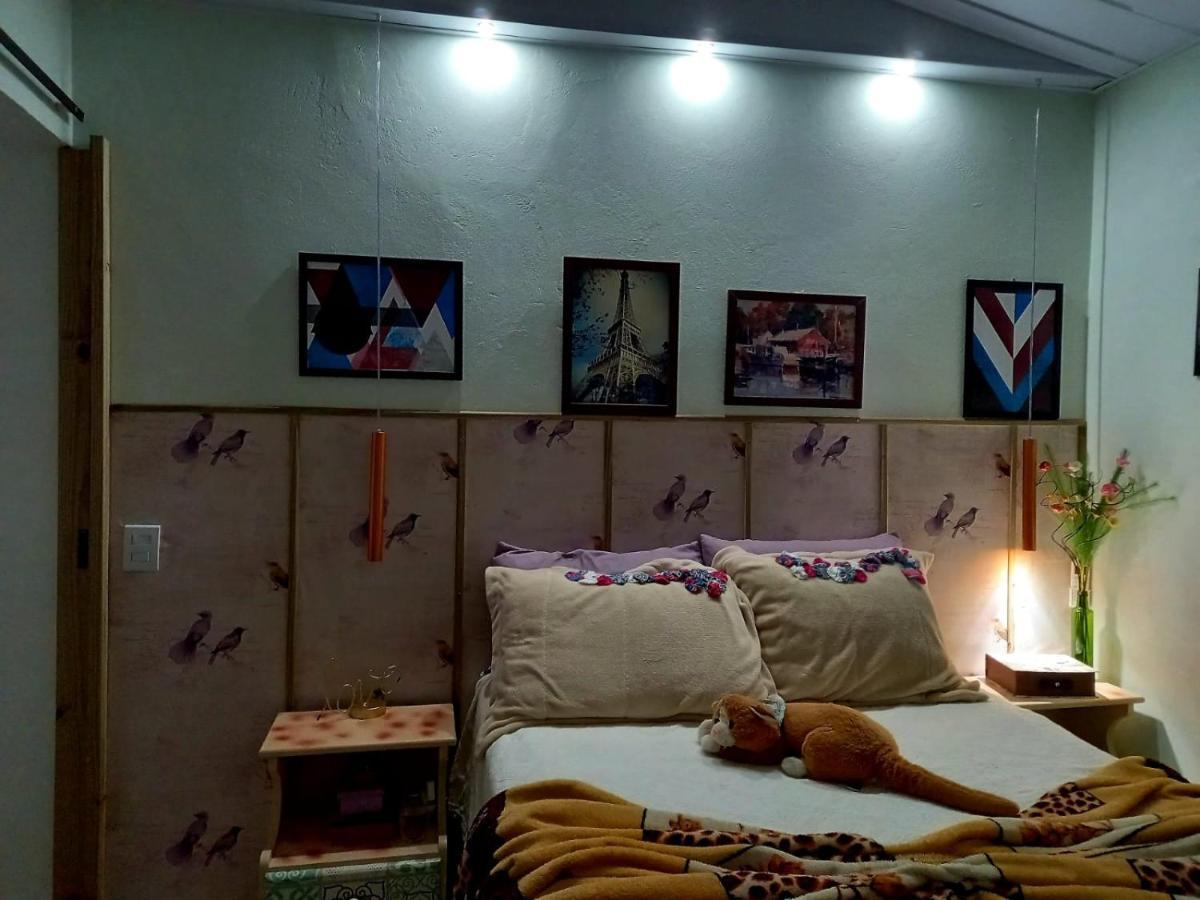 ガロパバ Casa Perto Do Centroヴィラ エクステリア 写真
